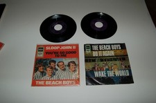 2singles beach boys gebraucht kaufen  Blomberg