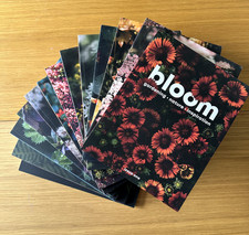 Bloom magazine issues for sale  READING