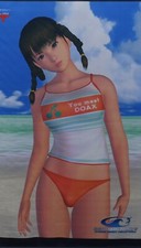 Tapeçaria DEAD OR ALIVE Xtreme vôlei de praia DOA Leifang 51 x 72 cm comprar usado  Enviando para Brazil