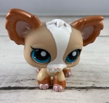 Hasbro littlest pet for sale  Marysville