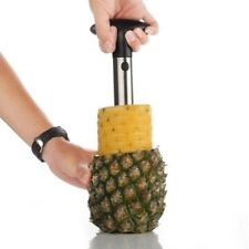 Sbuccia affetta ananas usato  San Giovanni la Punta