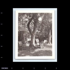 Vintage photo backyard for sale  Grass Valley