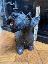 Large scottish terrier for sale  BLACKBURN