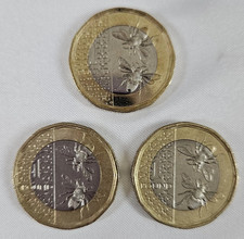 King charles bee for sale King charles bee for sale  LEDBURY