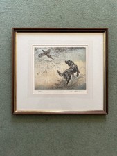 Gordon setter signed for sale Gordon setter signed for sale  TAUNTON