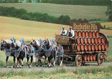Herford herforder pils gebraucht kaufen  Deutschland