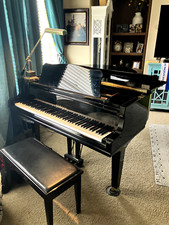 Yamaha dgc1m4 baby for sale  Salt Lake City