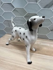 Dalmatian pointer dog for sale  Elkton
