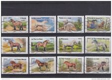 2013 chevaux trait d'occasion  Mortagne-du-Nord