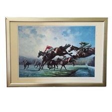 Gold cup cheltenham for sale  BIGGLESWADE