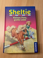 Sheltie kleines pony gebraucht kaufen  Dortmund