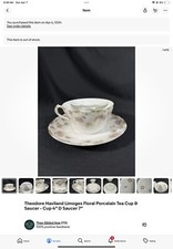 Rare theodore haviland for sale  Golden
