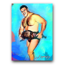 Bruno sammartino art for sale  Pasco