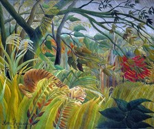 Tiger tropical storm for sale  Des Moines