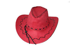 Cowboy hut western gebraucht kaufen  Schorndorf