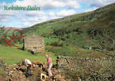 Picture postcard yorkshire for sale  NEWCASTLE UPON TYNE