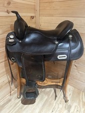 Tex tan hereford for sale  North East