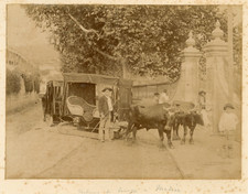 Portugal madère voiture d'occasion  Pagny-sur-Moselle