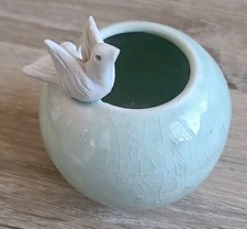 White dove bird for sale  Warwick