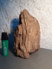 Bois silicifié fossilisé d'occasion  Servian