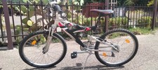 Mountain bike ragazzo usato  Imola