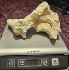 Texas limestone holey for sale  Texarkana