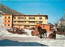Animaux chevaux morzine d'occasion  Fruges