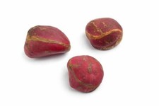 Kola nut fresh for sale  INGATESTONE
