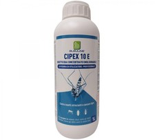 Cipex 10e lt.1 usato  Santa Maria la Carità