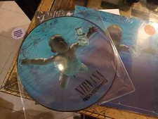 Nirvana nevermind picture usato  Castellabate