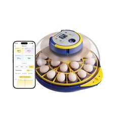 Egg incubator hatching for sale  USA