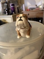 British bulldog money for sale  POOLE