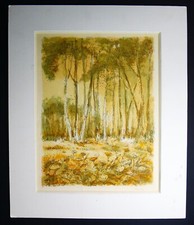 Lithographie signé main d'occasion  Avignon