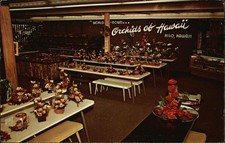 Hilo orchids hawaii for sale  Harvard