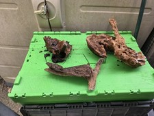 Bogwood driftwood fish for sale  THAME