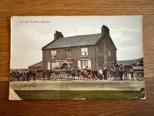 Antique postcard cat for sale  ELLESMERE