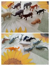 Mini animali usato  Guidonia Montecelio