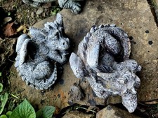 Baby dragon concrete for sale  Shelbyville