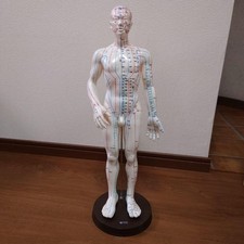 Acupuncture mannequin c98978 d'occasion  Expédié en Belgium