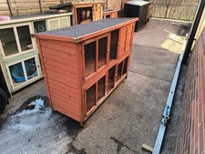 Large tier rabbit for sale  MANSFIELD