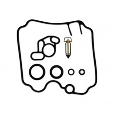Carburetor repair kit for sale  BRIGHTON