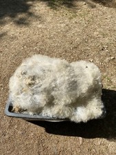 raw fleece for sale raw fleece for sale HEATHFIELD