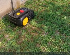 Robot tagliaerba landxcape usato Robot tagliaerba landxcape usato  Borgomanero