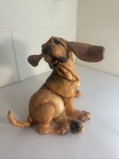 Country artists breed for sale  LINCOLN