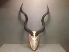 kudu barca usato kudu barca usato  Brescia