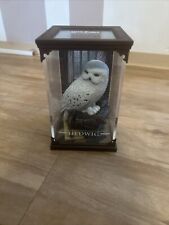 Hedwig harry potter gebraucht kaufen  Nürnberg