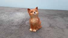 ginger kittens for sale  NORTHAMPTON