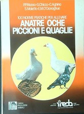 Anatre oche piccioni usato  Italia