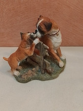 Sherratt simpson. boxer for sale  LANARK