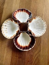 Large scallop shells. for sale  HOLYHEAD